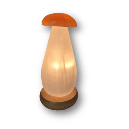 Selenit Steinlampe Pliz, weiß-oranger Selenit Naturstein Leuchte, Pilzlampe mit Holzsockel